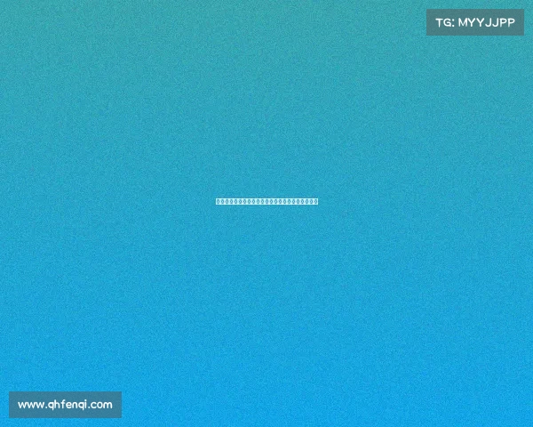 勒阿弗尔及其周边城市文化与历史探访之旅精彩体验